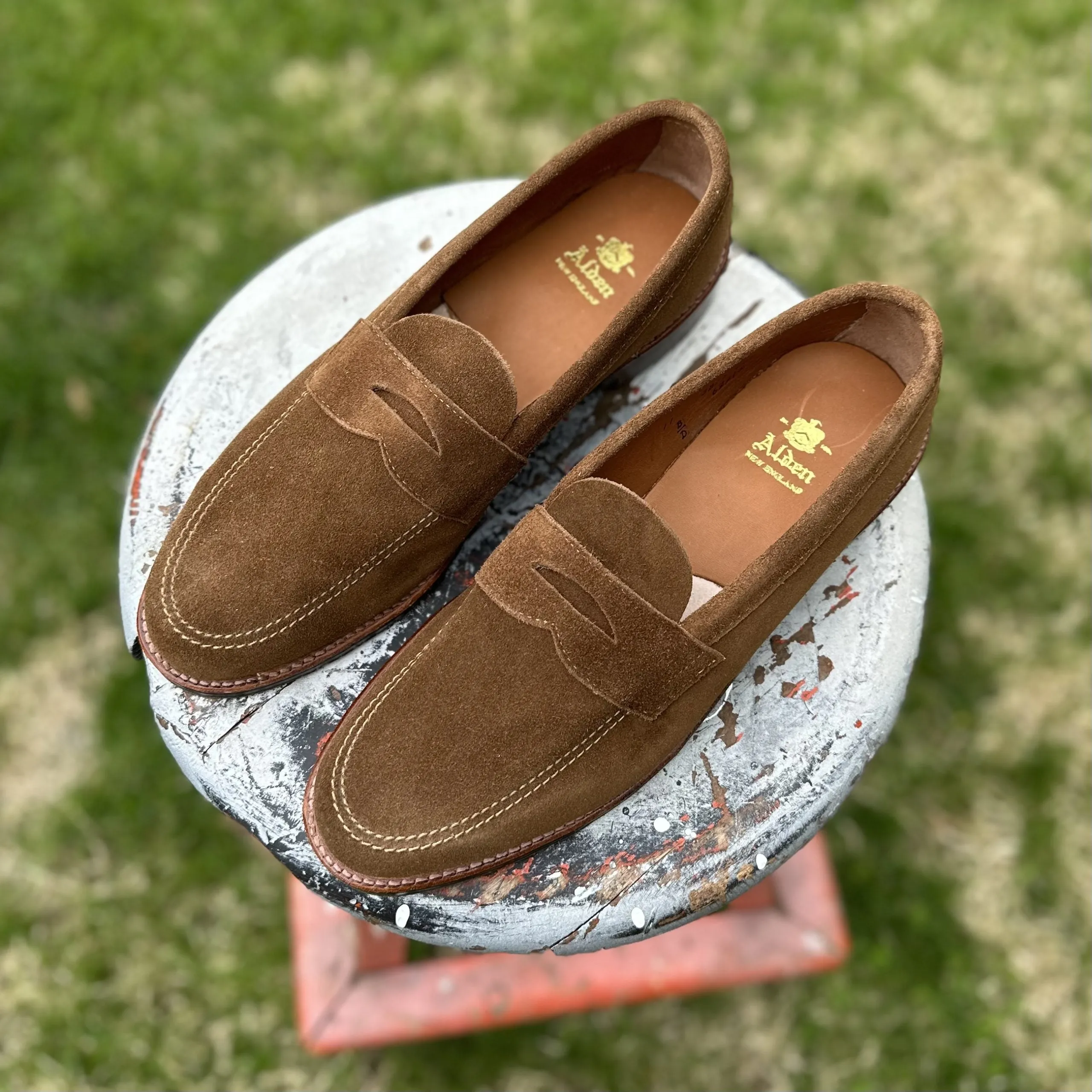 6221L - Unlined Penny Mocc in Snuff Suede