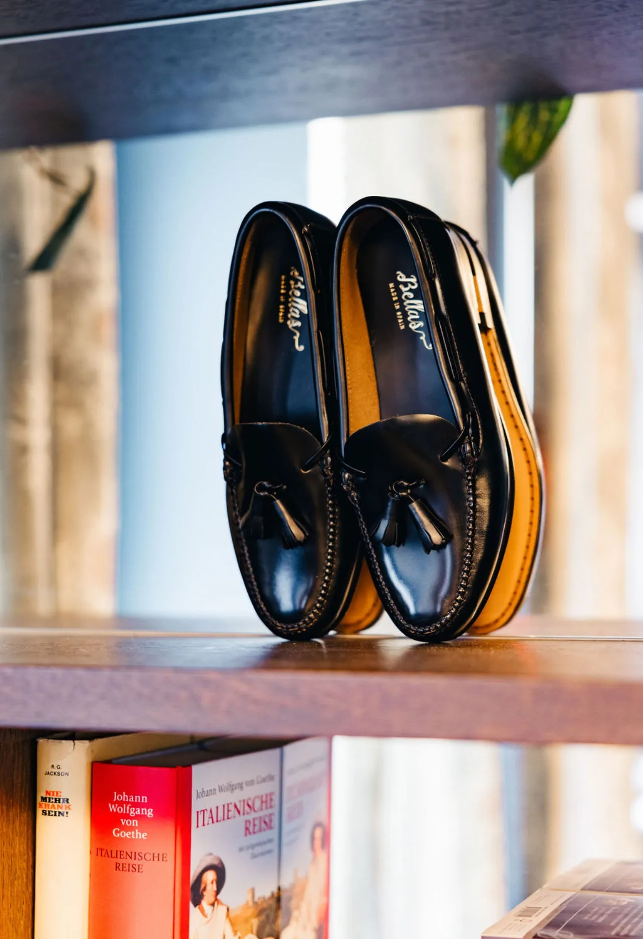 Ascot Antik Negro
