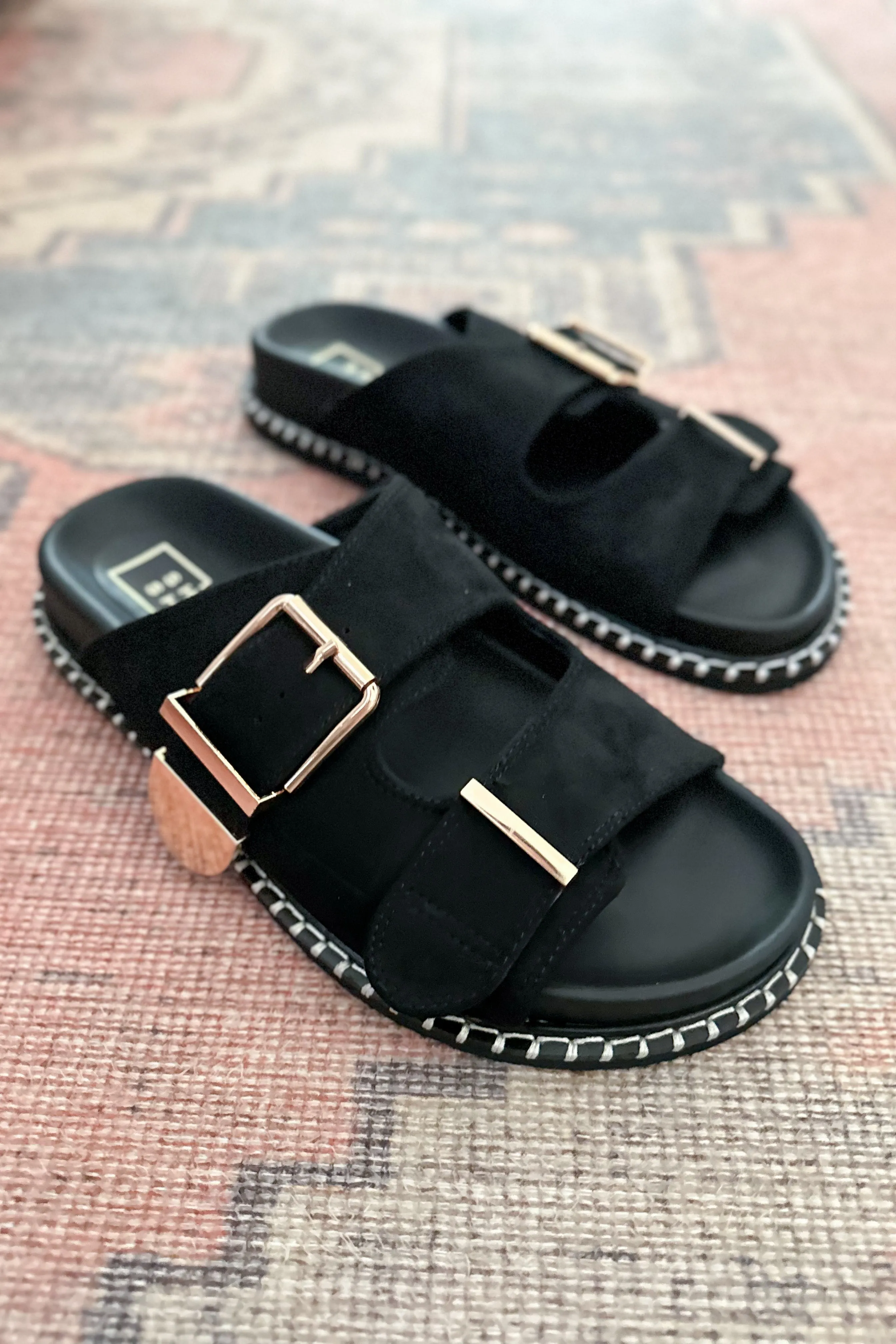 Charlotte Slide