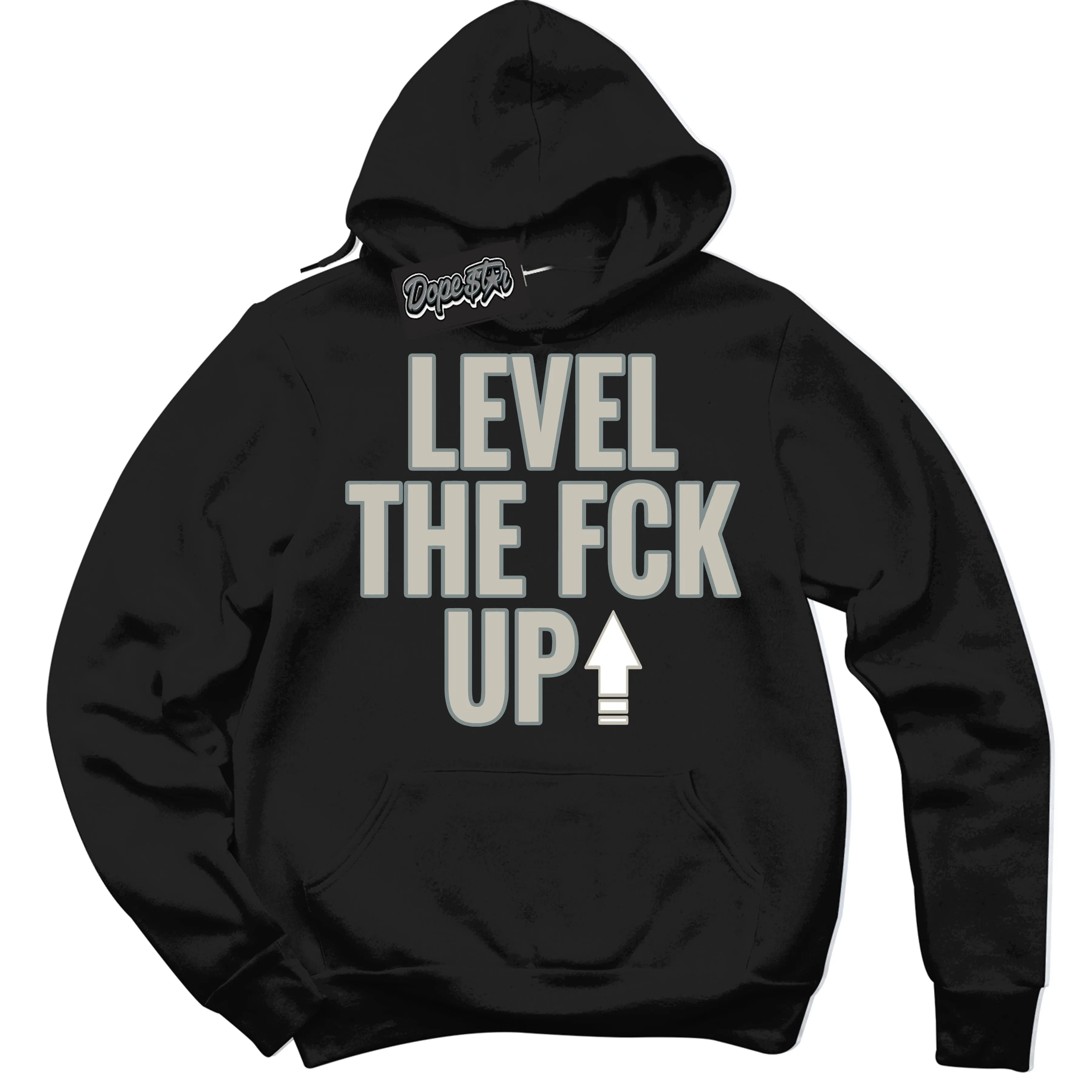 Cool Grey 9s Sneaker Hoodie Level The Fck Up Graphic
