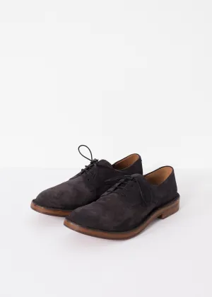 Lace Up Lavagna Huge reduction Customer-focused