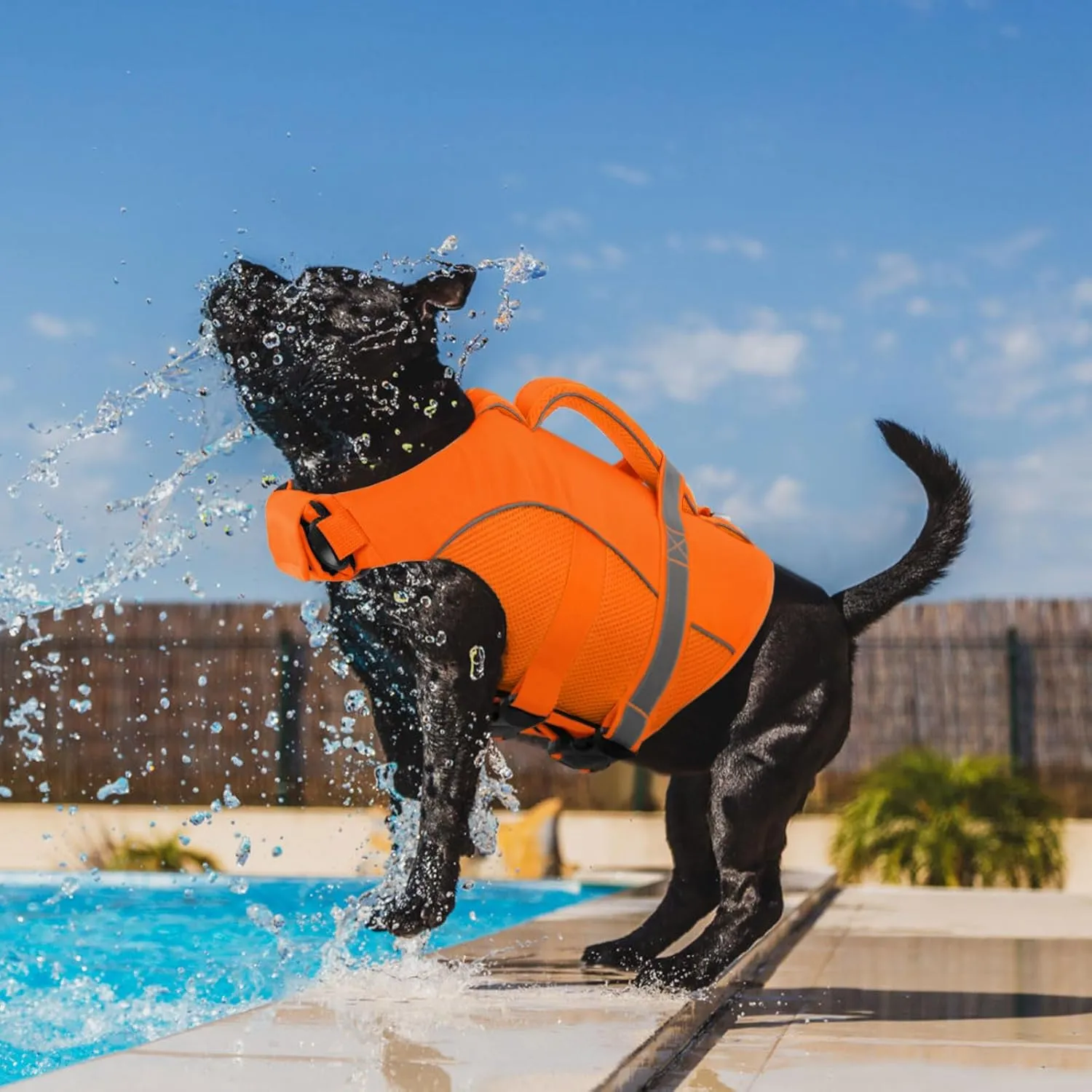 Queenmore Dog Life Vest for Swimming Boating, Adjustable Ripstop Dog Life Jacket, Dog Lifesaver with Superior Buoyancy and Rescue Handle, Dog Swimming Vest for Medium Dogs（Orange,M）