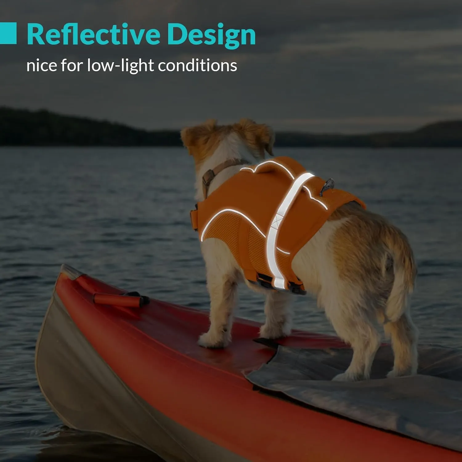 Queenmore Dog Life Vest for Swimming Boating, Adjustable Ripstop Dog Life Jacket, Dog Lifesaver with Superior Buoyancy and Rescue Handle, Dog Swimming Vest for Medium Dogs（Orange,M）