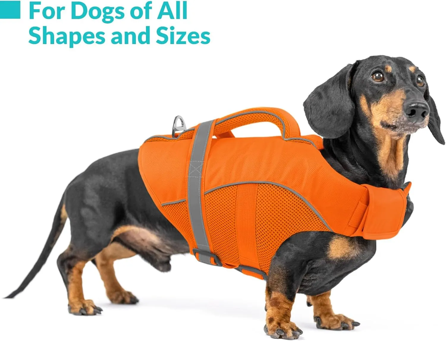 Queenmore Dog Life Vest for Swimming Boating, Adjustable Ripstop Dog Life Jacket, Dog Lifesaver with Superior Buoyancy and Rescue Handle, Dog Swimming Vest for Medium Dogs（Orange,M）