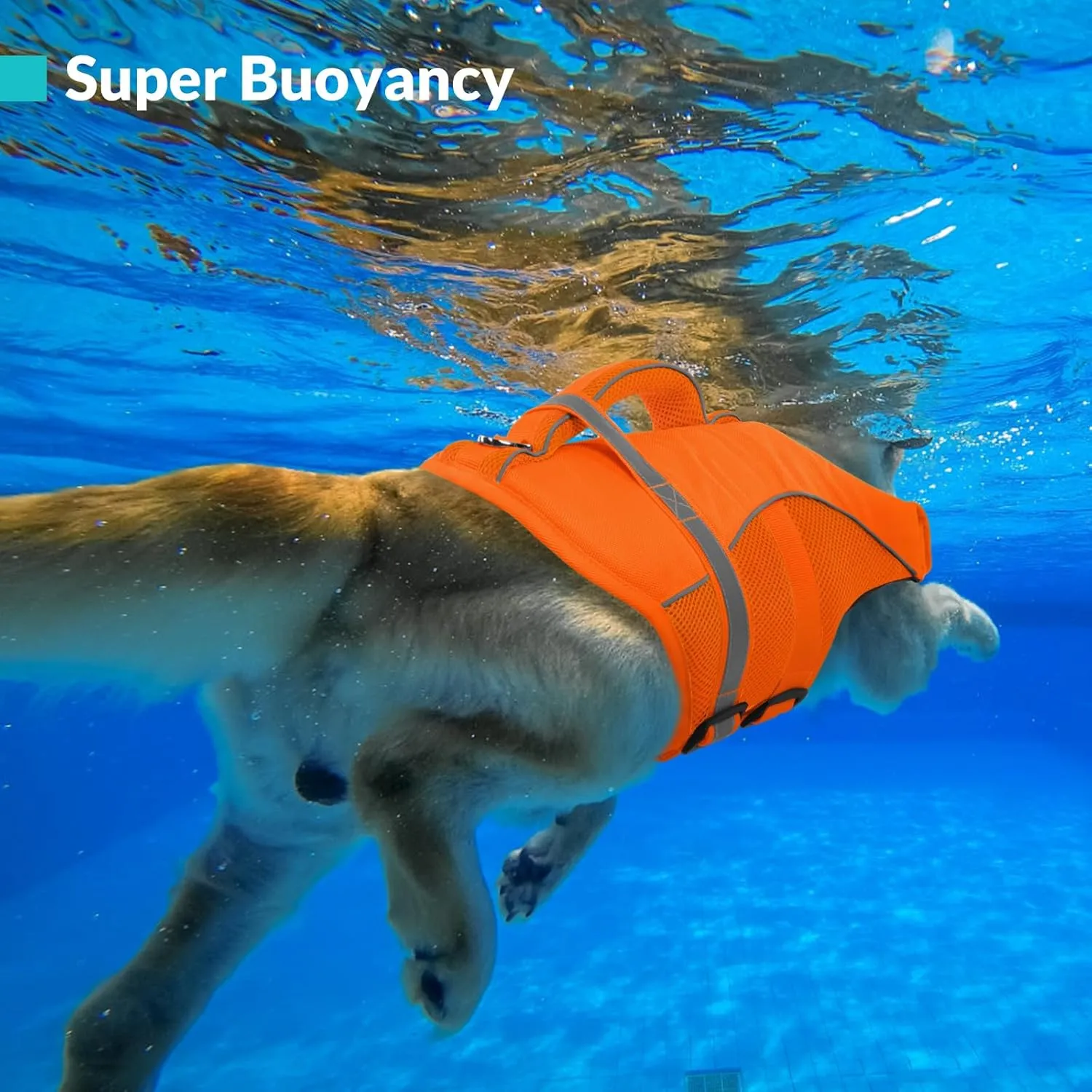 Queenmore Dog Life Vest for Swimming Boating, Adjustable Ripstop Dog Life Jacket, Dog Lifesaver with Superior Buoyancy and Rescue Handle, Dog Swimming Vest for Medium Dogs（Orange,M）