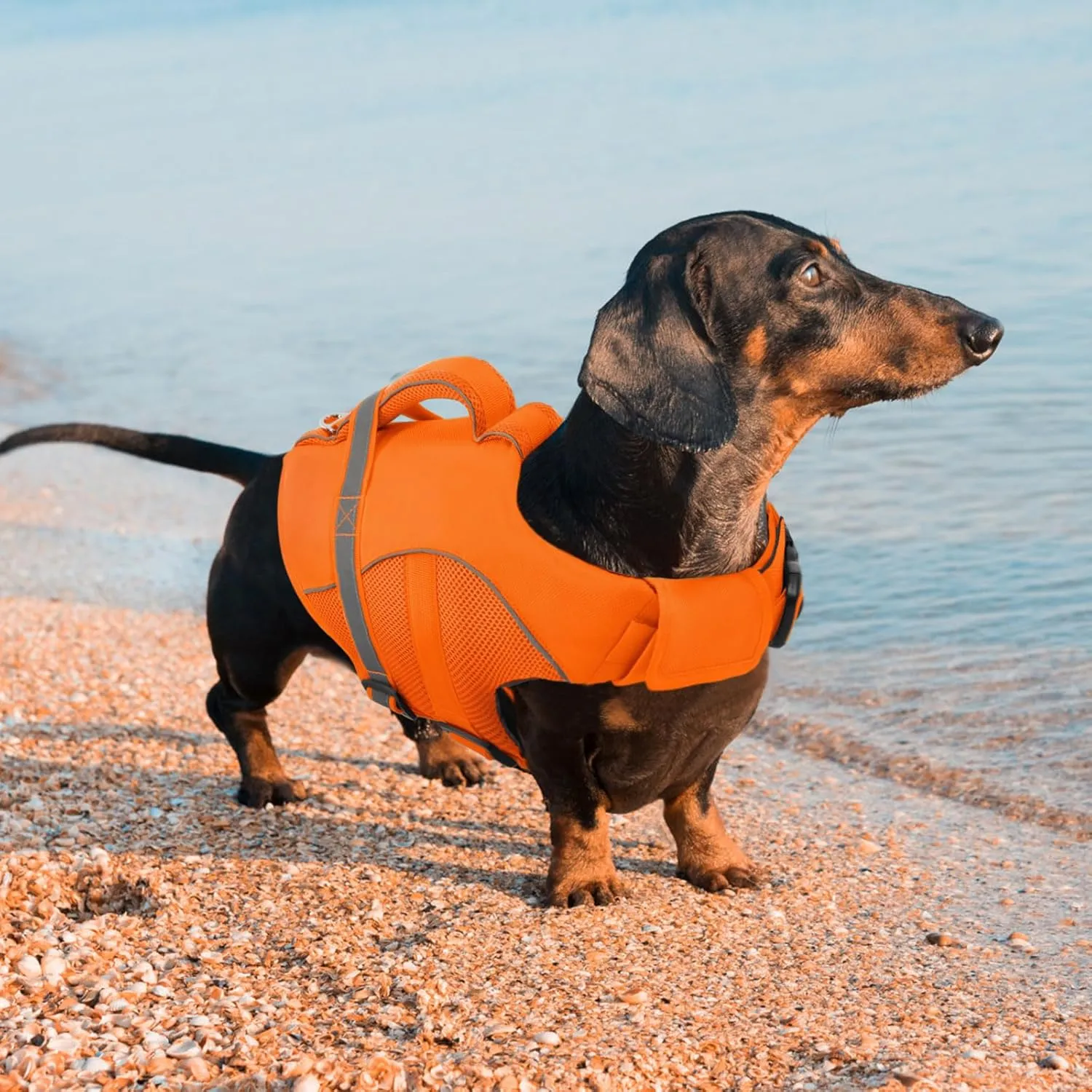 Queenmore Dog Life Vest for Swimming Boating, Adjustable Ripstop Dog Life Jacket, Dog Lifesaver with Superior Buoyancy and Rescue Handle, Dog Swimming Vest for Medium Dogs（Orange,M）