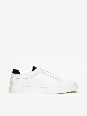 The Palestra Due (Sample Sale)